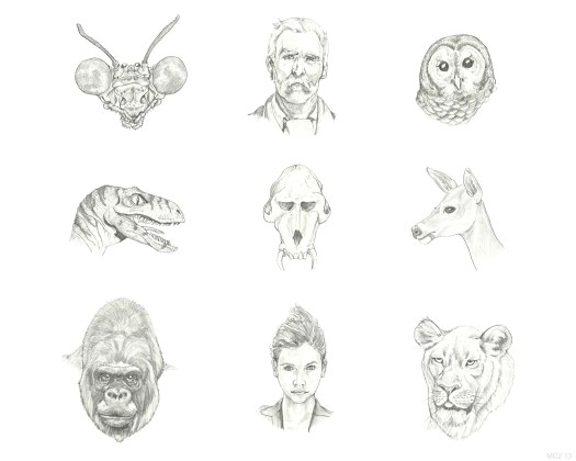 TheNatureofBeauty(existence)mc213